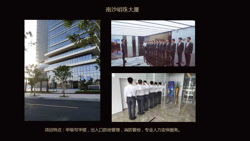 广州专业的安防公司