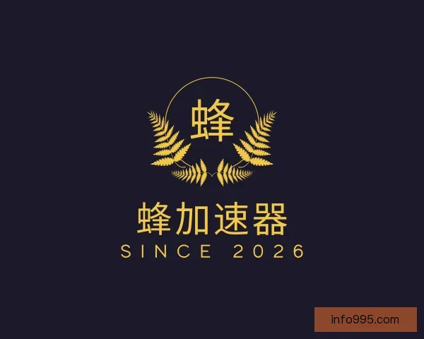 介绍蜂窝加速器