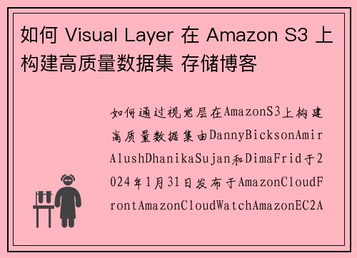 如何 Visual Layer 在 Amazon S3 上构建高质量数据集 存储博客